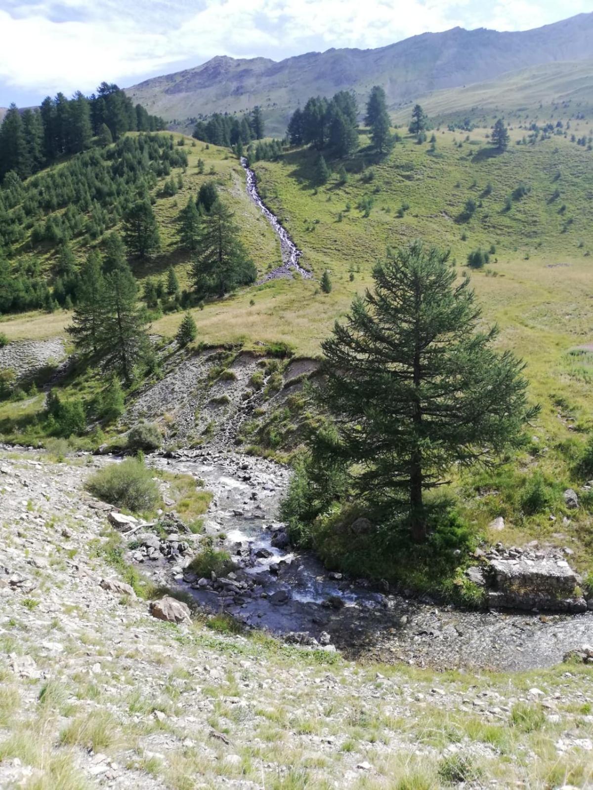 App Vue Montagne Barcelonnette Proche Piscine Rando Riviere Nature Exterior foto